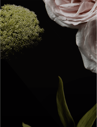 Atlas Garden - Le Vestiaire De Parfums — YSL Beauty